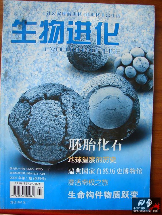 DSC06523副本.jpg