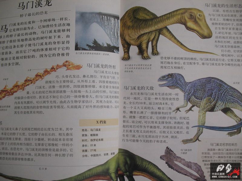 照片 031_缩小大小.jpg