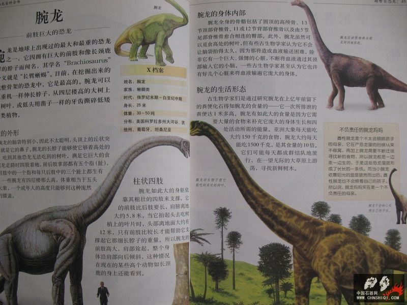 照片 032_缩小大小.jpg