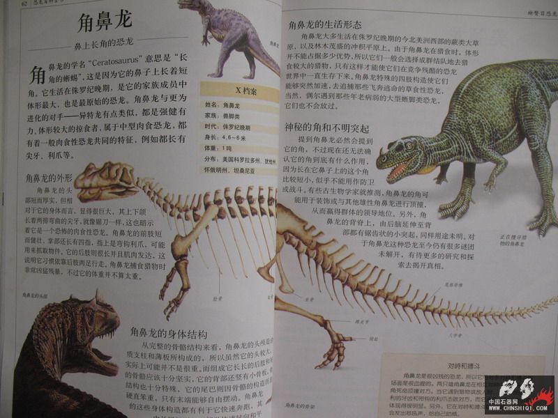 照片 041_缩小大小.jpg