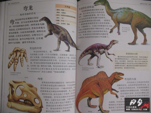 照片 062_缩小大小.jpg