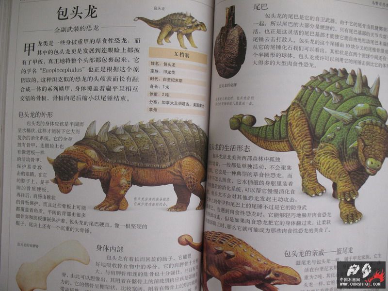 照片 083_缩小大小.jpg