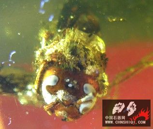 P7244362_副本.jpg