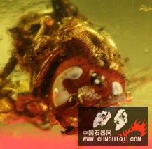 P7244344_副本.jpg