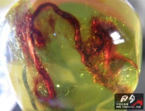 P7244359_副本_副本.jpg