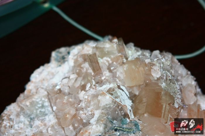 1007251338c0ee4594bf7918df[1].jpg