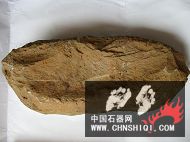 nEO_IMG_IMG_4910.jpg