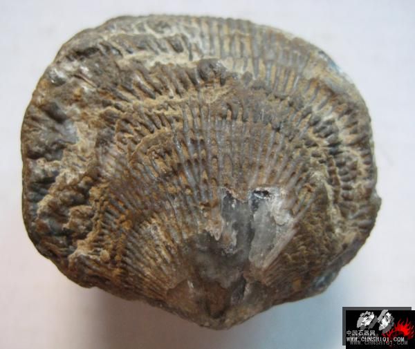 623_12803340648Txx[1].jpg