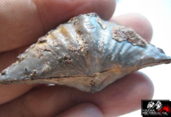 623_1280333944hZM0[1].jpg