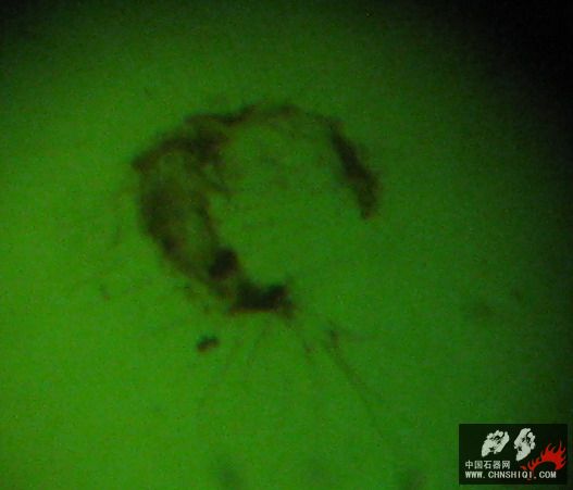 照片 216.JPG