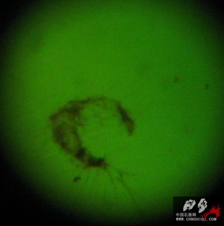 照片 219.JPG
