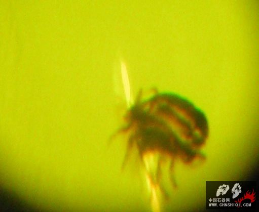 照片 415.JPG