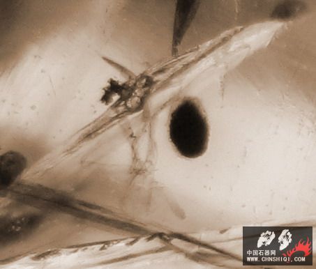 照片193.JPG