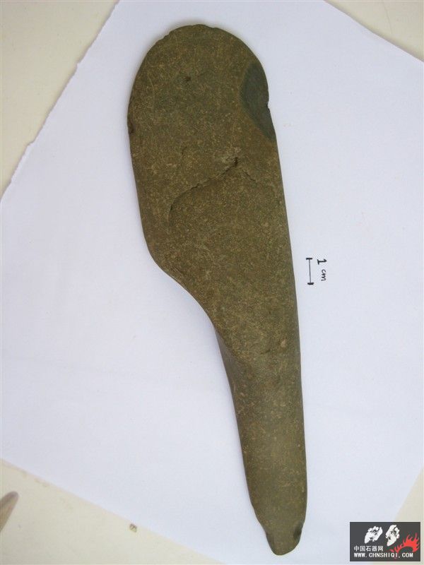 45.jpg