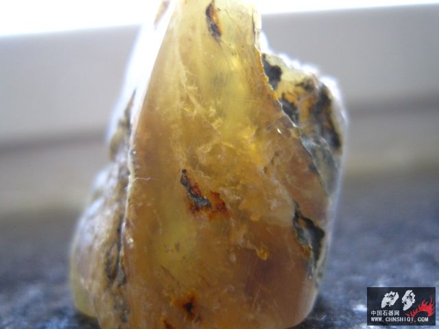 照片 029.jpg