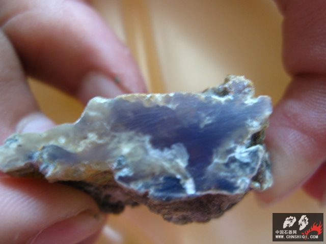 照片 022.jpg