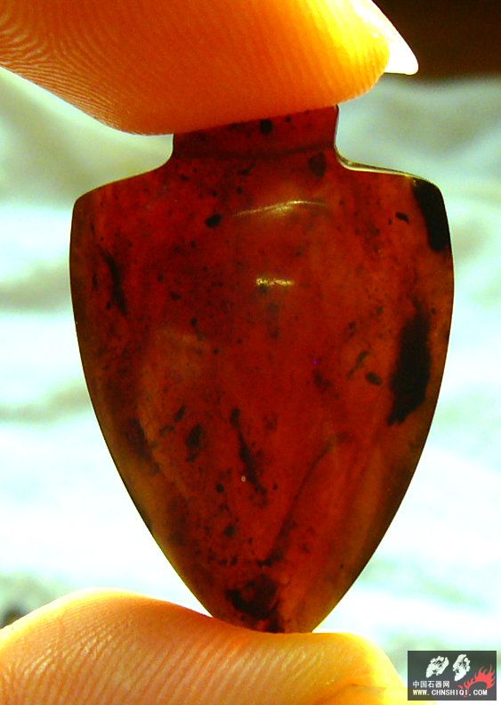 P1100261.JPG
