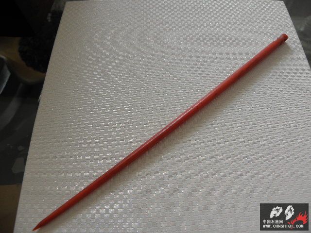 P8011688.JPG