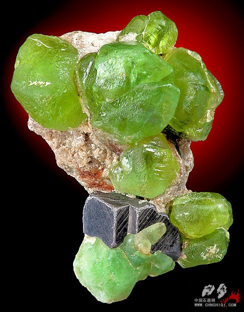 橄榄石、磁铁矿 巴基斯坦 5x3.6厘米.jpg