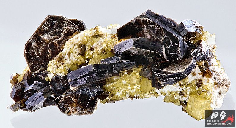 黑云母晶体、菱铁矿 美国北卡罗来纳州  3.4xc6.9厘米.jpg