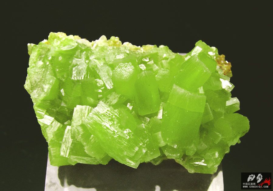 磷氯铅矿 西班牙 2.7 × 1.8 × 0.9 厘米.jpg