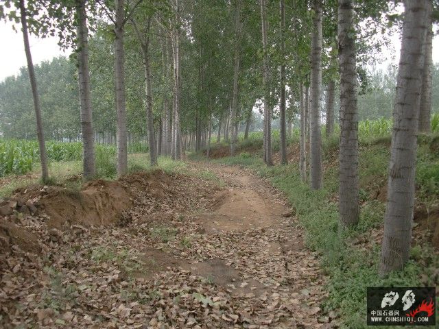 CIMG5459.jpg