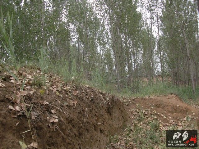 CIMG5485.jpg