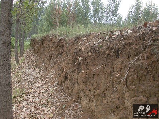 CIMG5486.jpg