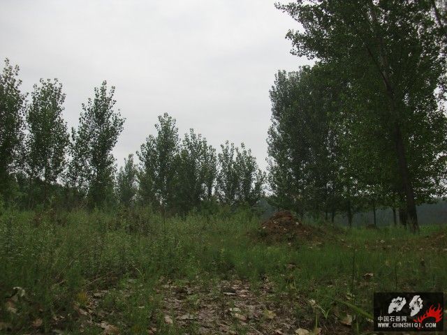 CIMG5488.jpg