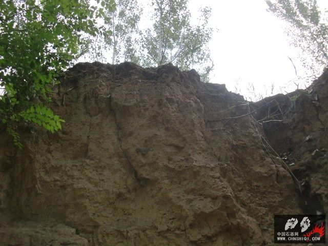CIMG5499.jpg