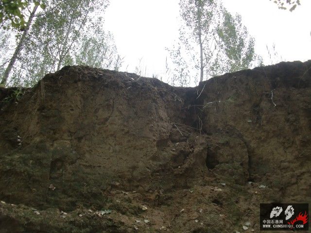 CIMG5495.jpg