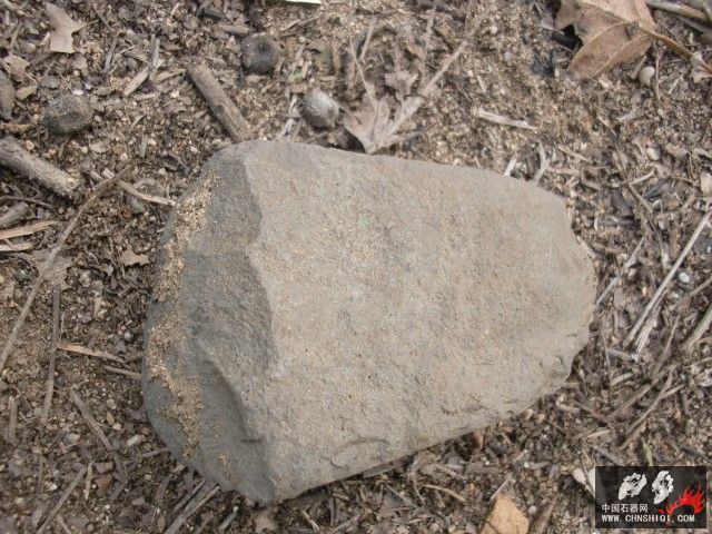 CIMG5534.jpg
