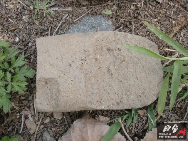 CIMG5537.jpg