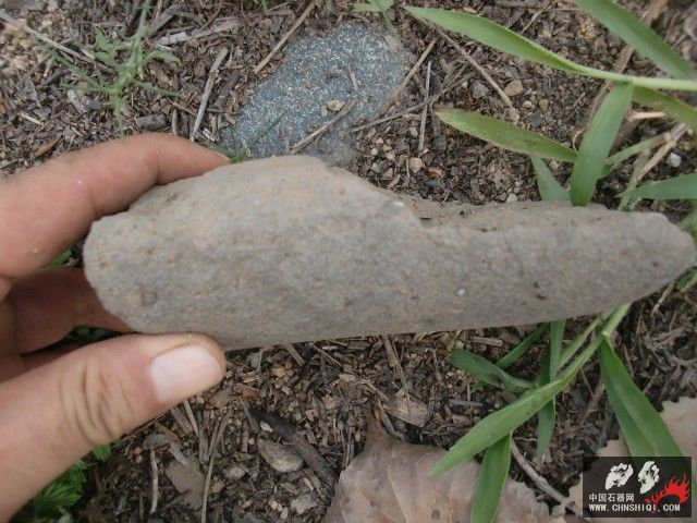 CIMG5539.jpg