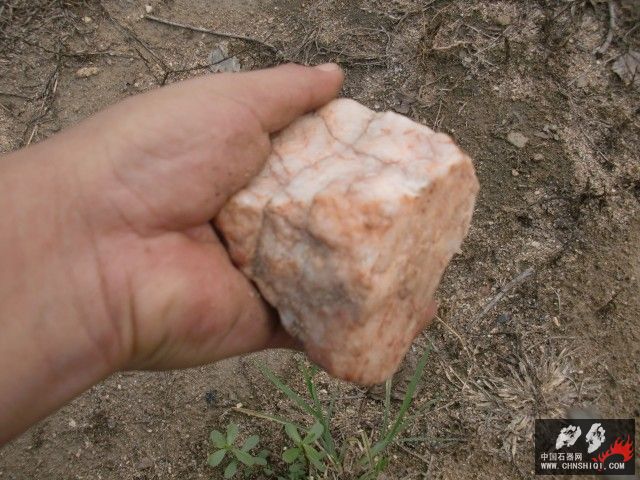 CIMG5557.jpg