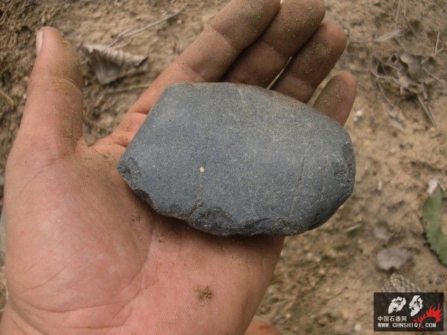 CIMG5583.jpg