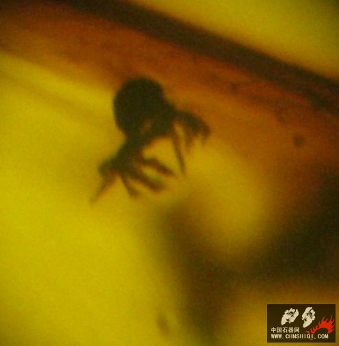 照片05.JPG