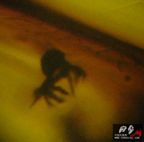 照片 06.JPG