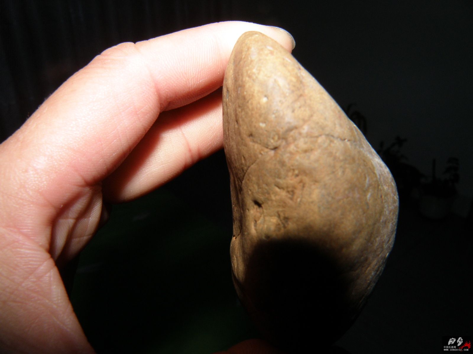 P8134993.JPG