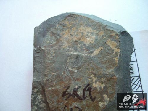 sany2824.jpg