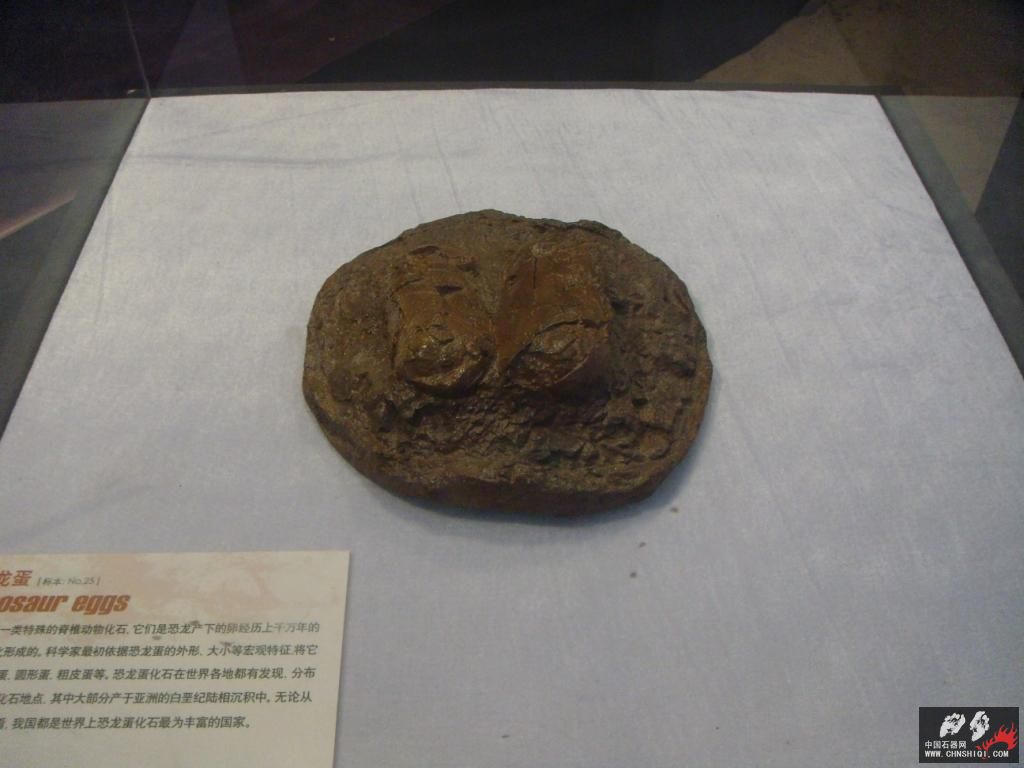 DSC04313.JPG