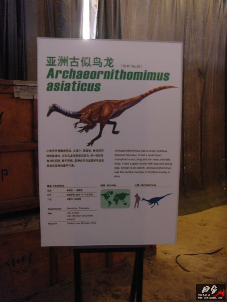 DSC04318.JPG