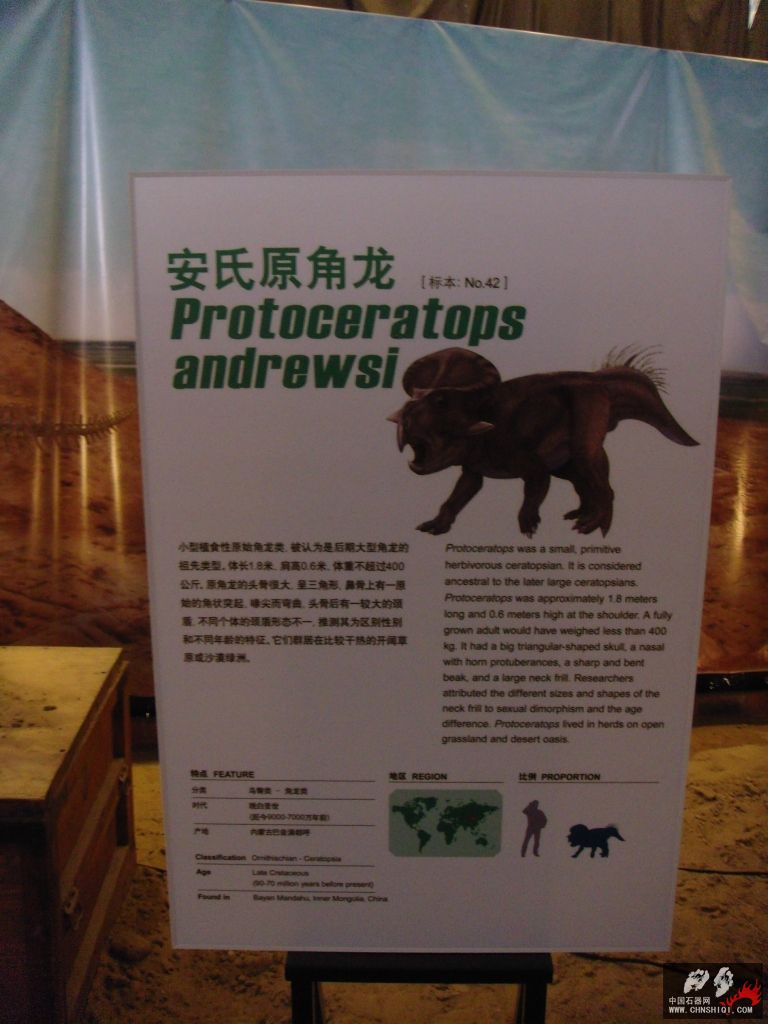 DSC04336.JPG
