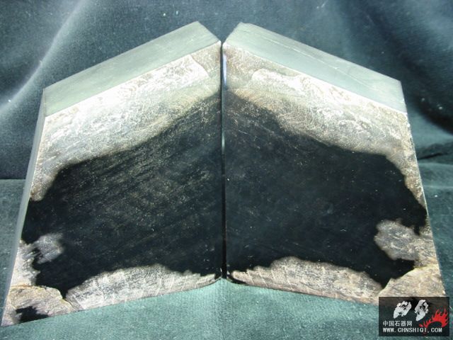 2650-Fossil_Wood_Bookends_002.jpg