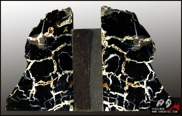 Tom Miner Basin petrified wood.jpg