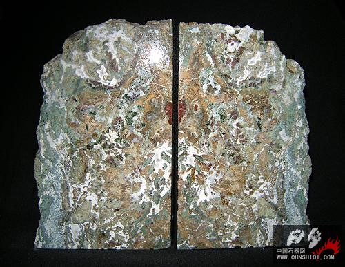 Hampton Butte Petrified Wood Bookends.jpg