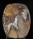 Opalized SaddleMountain Petrified Wood.jpg