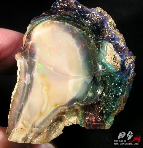 Opalized wood  Virgin Valley area.jpg