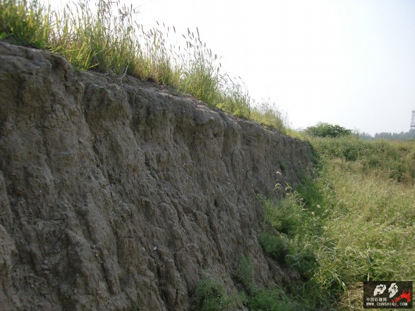 CIMG5618.JPG
