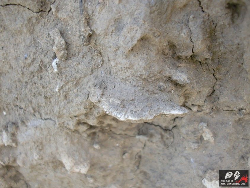 CIMG5622.JPG